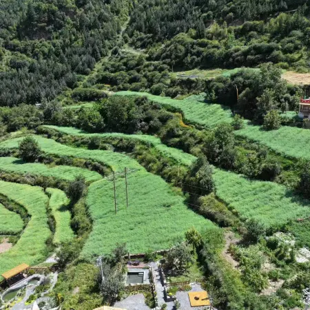 Aba Prefecture Barkam Jiarong Yaqin Homestay
