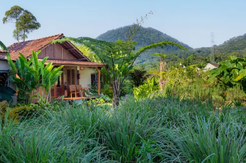 Green Lava Cabin Bedugul - Bjergudsigt