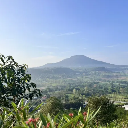 Carino Khao Kho