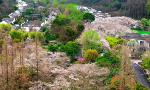 Pusen Lanting ShaoXing