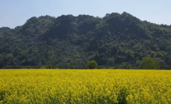 PUSU AROON (Xin'anjiang Branch)