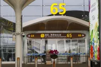 Hilton Garden Inn Guangzhou Baiyun Airport（Terminal 3） - ペット同伴可