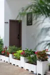 Mangshi Lechuan Homestay (Mangshi Square) - 2-Star