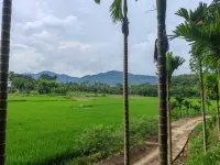 วิลล่ายาบุลุนพักผ่อนท่ามกลางธรรมชาติ - วิว