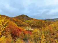 Yunshang Four Seasons Hotel (Laojunshan Scenic Area Zhongling Cableway Branch)