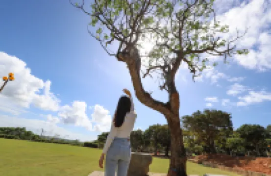 The South。Dawn Hotels in Houbihu/Daguang