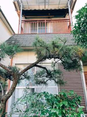 naramoon aged 18 to 55 are allowed to stay