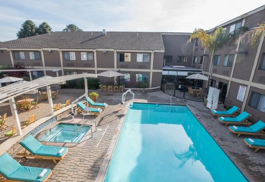 메이플 트리 인 야외 수영장 전경