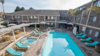 Maple Tree Inn