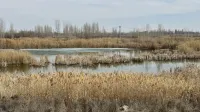 Hutubi County Mingxi Mau Residence Hotel Hotels in Hutubi