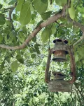 敦煌觀夏民宿