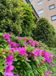 Richmond Hotel Tokyo Musashino Hotels near ICU Hachiro Yuasa Memorial Museum