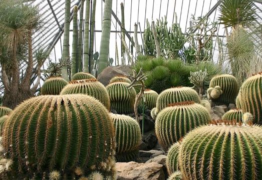 Izu Kogen Terrace의 거실