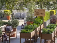 JW Marriott Los Angeles L.A. LIVE Hotels near Paramount Studios