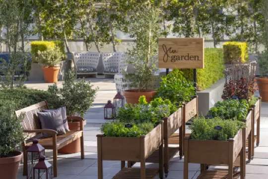 JW マリオット・ロサンゼルス L.A. ライブ