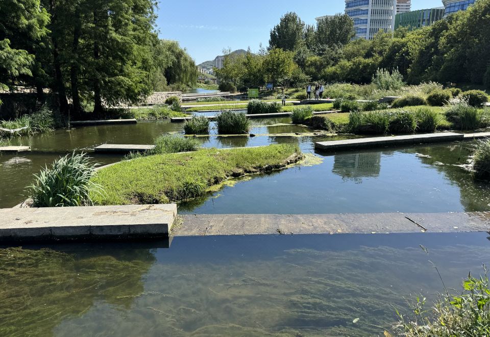 1. 칭다오 리창 자..