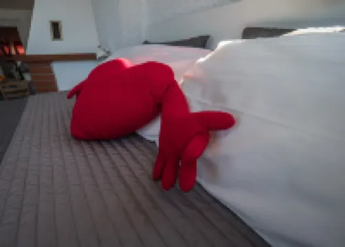 La Torretta dei Merli Studio with Unique Views