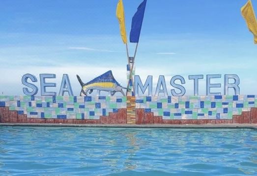 Sea Master Beach Resort의 모던한 객실 또는 수영장