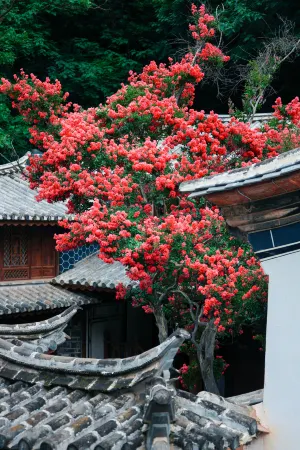 Mo Wen Qi She B&B Отели в г. Луфын