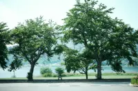 SANU 2nd Home Kawaguchiko1st Hotels in Narusawa