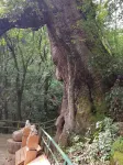 雞足山拜山緣智能民宿 - 山景
