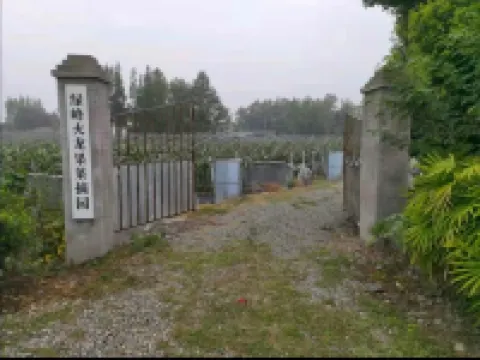 Wanfenglin Mijing Wujie Homestay (Wanfenglin Tourist Center)