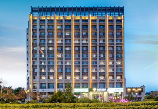 지브라 호텔 객실 1