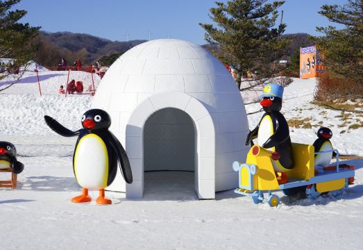 휘닉스 호텔 평창