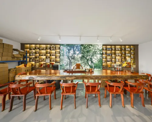 Sea of Clouds at Sun | Leisure and Holiday Courtyard Makanan Photos