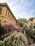 Style Homes -  Apartamentos vacacionales