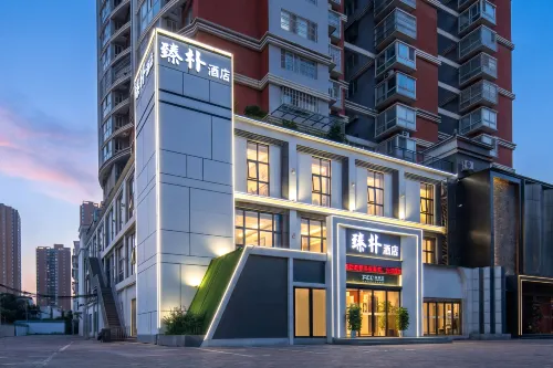 臻樸飯店（南陽仲景大道範蠡路店） - 寵物友善