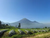 1440 Mdpl 빌라 & 리조트 - 빌라