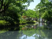 Kimpton BAMBOO GROVE SUZHOU by IHG - Pools