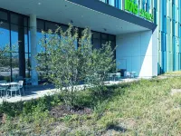 宜必思尚品慕尼黑機場酒店 - 新開業 鄰近普靈（靠近弗賴辛）的酒店