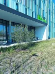 Ibis Styles Muenchen Airport - Neu eröffnet - Gym