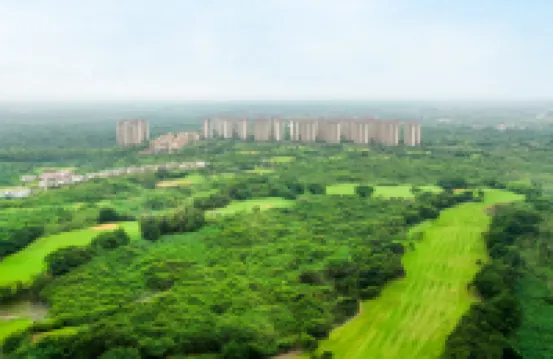 Vineyard Xiangchengsu (Mission Hills Branch)