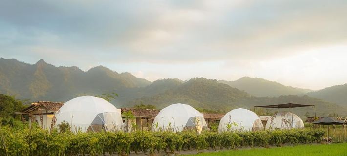 Borobudur Luxury Glamping Hotels in Borobudur
