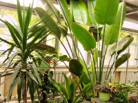 Qingtongxia Marriott Business Hotel Hotels in Qingtongxia