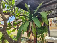 Homeis Villa Sattahip Dongtan Beach 주변 호텔