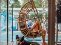 Noosa Flashpackers Hotels in Sunshine Beach