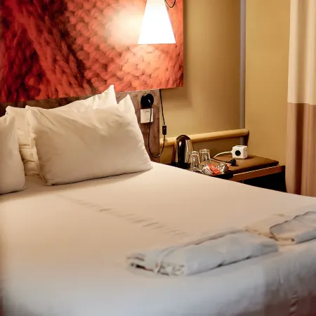 Ibis Irkutsk Center (Ибис Иркутск Центр) Отели в г. Иркутск