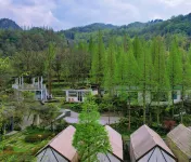 Leisure stay · Jiangshang Forest Hot Spring B&B (Dujiangyan Irrigation Project Scenic Spot Store) Hotel dekat Anlan Cable Bridge