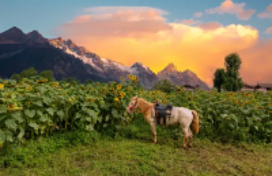 Xueyu Qieman Homestay (Baisha Ancient Town Branch)