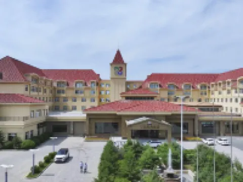 Mohe Peak Yuezhiyue Hotel Hotels in Mohe