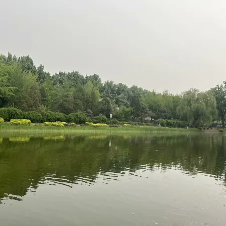 PURE SILVAN HOTEL