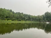 PURE SILVAN HOTEL - Mountain view
