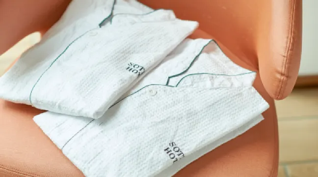 Sotetsu Fresa Inn Kyoto-Hachijoguchi