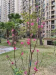 Gui'an Huahua Homestay