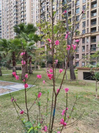 Gui'an Huahua Homestay Отели рядом с достопримечательностью «Gui'an Ocean World»