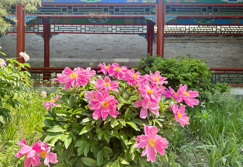 랑리츠 가든 타이허푸 호텔의 전통적인 디자인 요소가 가미된 객실 이미지